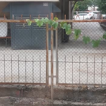 A101 Giresun Caddesi Şubesindeki Soğutucu Ve Jeneratör Gürültüsü Ve Mazot Kokusuna Dair Şikayet