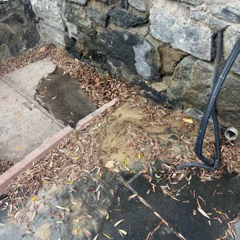 Bahçedeki Sürekli Su Kaçağı İçin ISKI'den Acil Müdahale Talebi