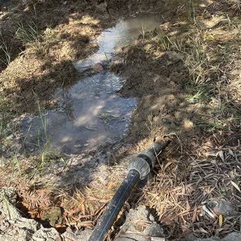 Bahçedeki Sürekli Su Kaçağı İçin ISKI'den Acil Müdahale Talebi
