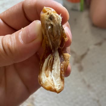 Son Kullanma Tarihi Geçmemiş Hurmalarda Kurt Çıkması Ve Hijyen İhlali