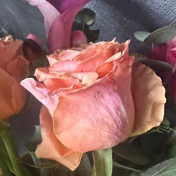 Bloom And Fresh Çiçek Siparişinde Solmuş Çiçekler Ve Özür Eksikliği