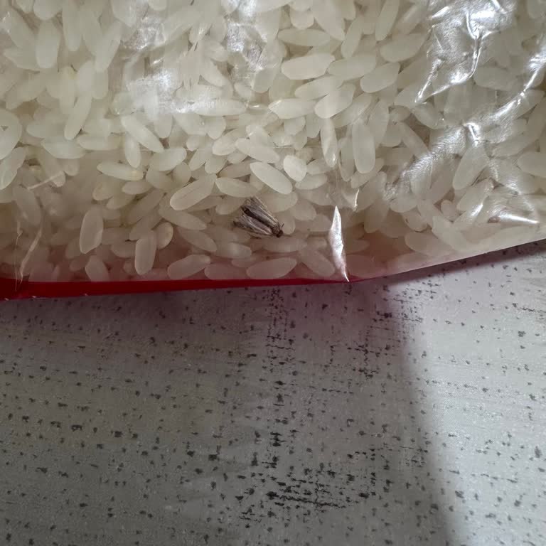 BİM Efsane Osmancık Pirincinde Böcek Tespiti Sağlık Ve Hijyen Endişesi
