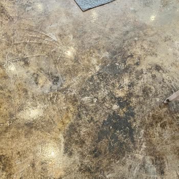 Hijyen Ve Güvenlik Sorunlarıyla Dolu Villa, Yetersiz Telafi