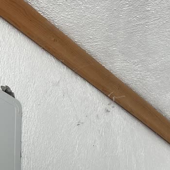 Hijyen Ve Güvenlik Sorunlarıyla Dolu Villa, Yetersiz Telafi