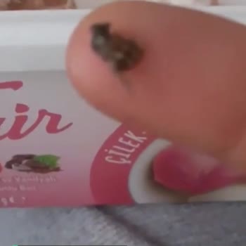 Fair Dondurmamda Arı Çıktı
