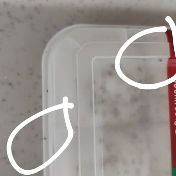 Algida Dondurmasında Sinek Ve Böcek Sorunu