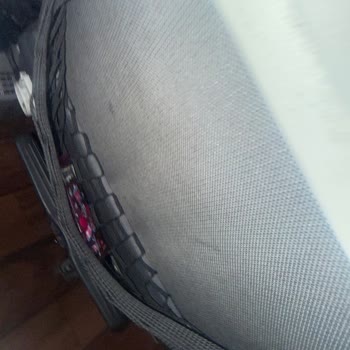 Böcek Ve Parazit Sorunu Nedeniyle Hijyen Skandalı Ve Sağlık Riski
