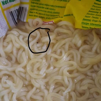 Bim Marketten Aldığım Noodle Paketi İçinde Ölü Kurt