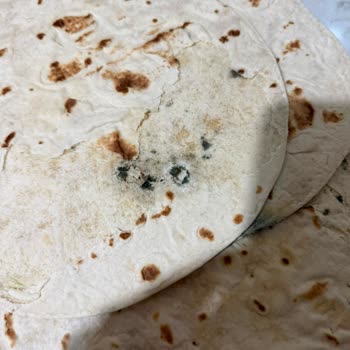 Küflü Pizza Tabanı Üzerinden Sağlık Endişesi Ve Ücret İadesi Talebi