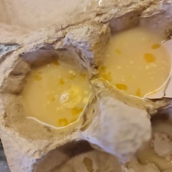 Migros Sanal Market'ten Bozuk Yumurtalar İçin İade Talebi