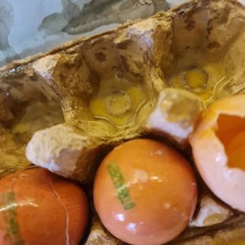 Migros Sanal Market'ten Bozuk Yumurtalar İçin İade Talebi
