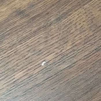 Adanur Nakliyat Hem Eşyalarım Hem De Yeni Taşındığım Ev Ciddi Şekilde Zarar Gördü