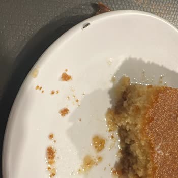 Cömert Lokantası | Dalyan Revani Tatlısının İçinde Canlı Bir Böcek Çıktı