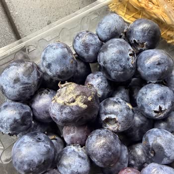 Migros’tan Yaban Mersini Küflü Çıktı, 140 TL Boşa Gitti