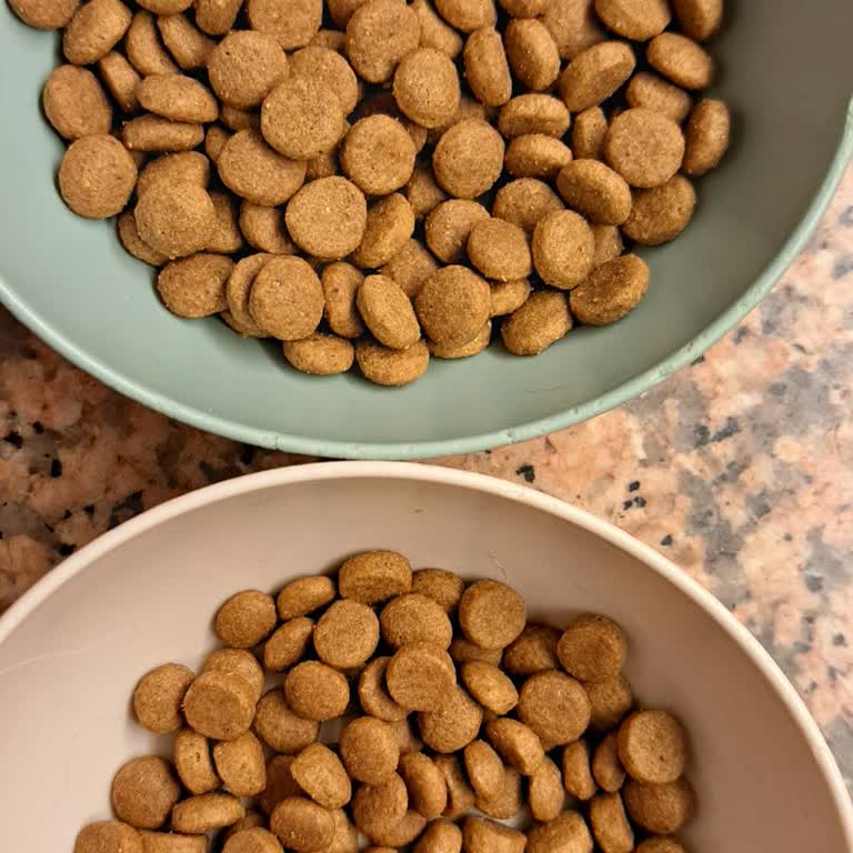 Royal Canin Sterilised Kedi Mamasının Sahte Olduğunu Düşünerek İade Ve Açıklama Talebi