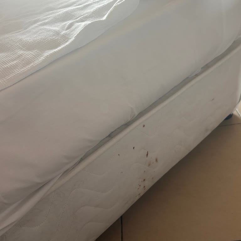 Otel Temizliği Ve Yemek Kalitesi Reklamı Karşılamadı, Tatilbudur Alternatif Sunmadı