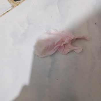 BGRILL Piliç Kokteyl Sosisinde Pembe Boya Kalıntısı Ve Güvenlik Endişesi