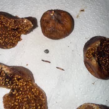 Migros Kuru İncirde Kurt Kalıntısı Ve Sağlık Riski