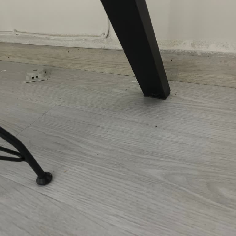 Detan Karınca Yemi İşlevsiz, 350 TL İade Talebim