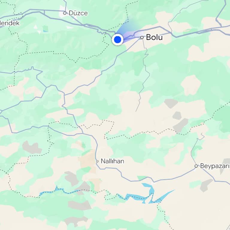 Geç Gelen Otobüs Nedeniyle Kaçırılan Hızlı Tren Bileti Ve Telafi Talebi
