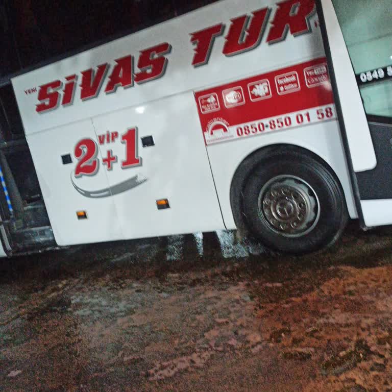 Şoförün Sigara İçmesi Ve Astımlı Çocuğa Sağlık Tehlikesi