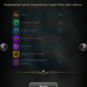 VIP 11 Seviye Oyuncunun Kaleyi Çalınması Ve Güç Kaybı Şikayeti