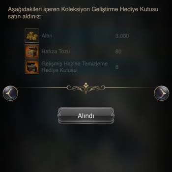 VIP 11 Seviye Oyuncunun Kaleyi Çalınması Ve Güç Kaybı Şikayeti