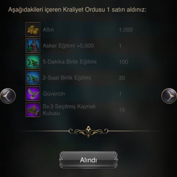 VIP 11 Seviye Oyuncunun Kaleyi Çalınması Ve Güç Kaybı Şikayeti