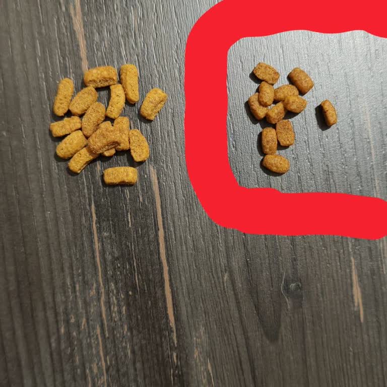 N11'de Satın Alınan Sahte Kedi Maması İçin İade Talebi