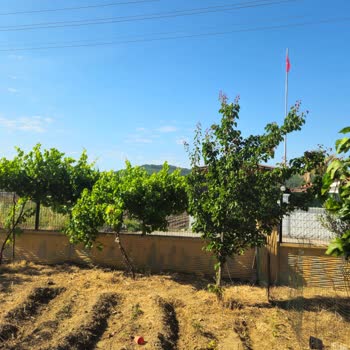 Remax’tan Alınan Komisyon Ve Temizlik Masraflarının İadesi Reddi