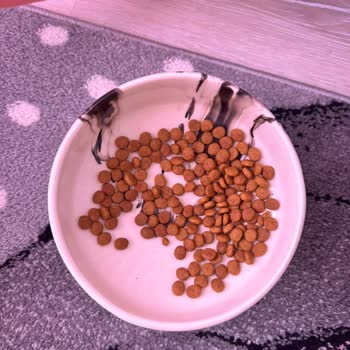 Royal Canin Sterilised 37 Kedi Mamasının Tanecik Boyutunda Değişiklik Ve Orijinallik Şüphesi