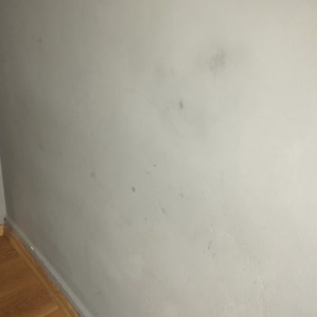 Marshall Silinebilir İç Cephe Boyasında 9 Ay Boyunca Giderilemeyen Lekeler Ve Yanıltıcı Tanıtım