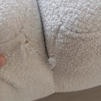 Laguna Koltuk Takımındaki Kalite Sorunları Ve Servis İhmali