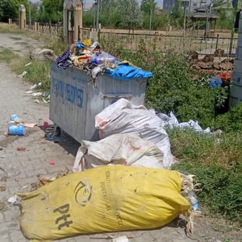 Buzhane Mahallesinde Tek Çöp Konteyneri Yetersizliği Ve Düzenli Boşaltım Talebi