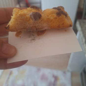 Süresi Dolmamış Üründe Küf Tespiti