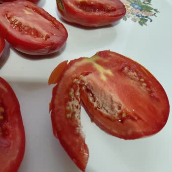 Gökkuşağı Market Küflü Ürünlerine Sahip Çıkmadı