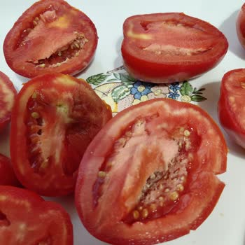 Gökkuşağı Market Küflü Ürünlerine Sahip Çıkmadı