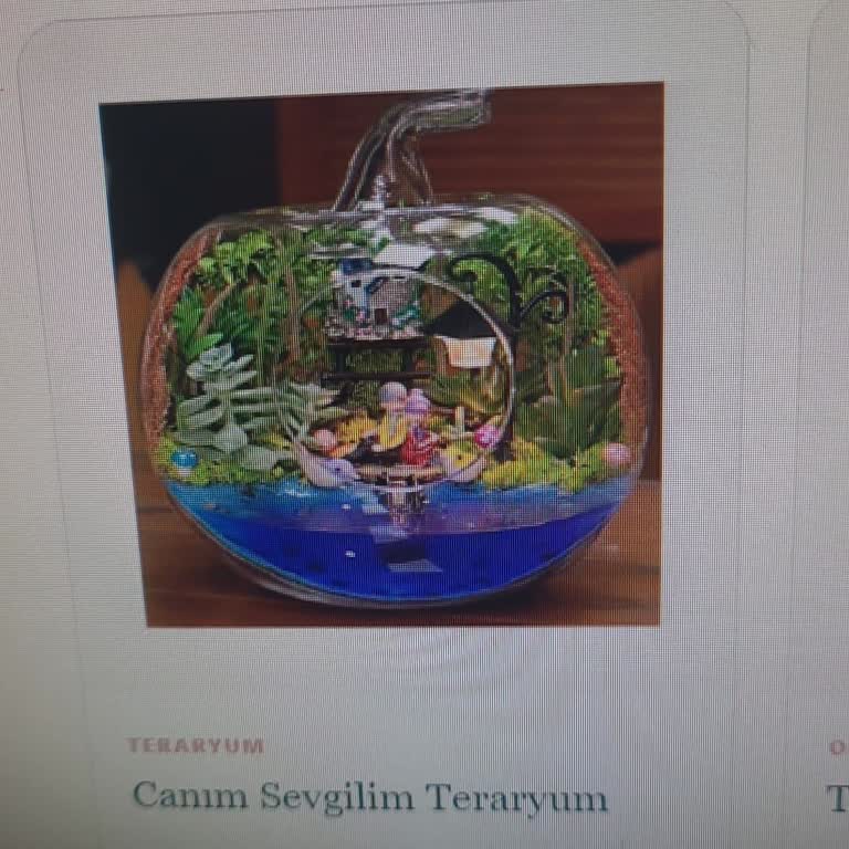 Gokcencicekcilik.com.tr Ne Çiçek Gönderilmiş Ne De Ücretimiz İade Edilmiştir