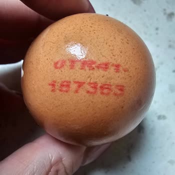 Getir'den Bozuk Yumurta İçin Geri Ödeme Ve Güvenlik Talebi