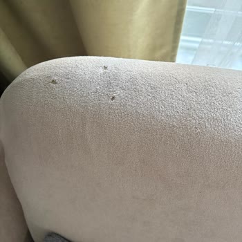 Kedi Tırmalamasına Dayanıklı Olmadığı Söylenen Koltuk Örtüsü Yırtıldı, Satıcı Sorumluluk Almıyor