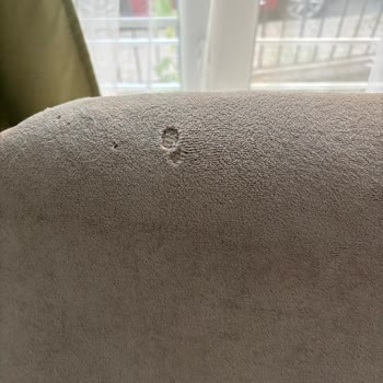 Kedi Tırmalamasına Dayanıklı Olmadığı Söylenen Koltuk Örtüsü Yırtıldı, Satıcı Sorumluluk Almıyor