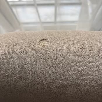 Kedi Tırmalamasına Dayanıklı Olmadığı Söylenen Koltuk Örtüsü Yırtıldı, Satıcı Sorumluluk Almıyor
