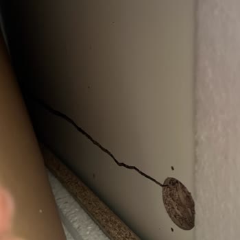 Kırık Gelen Dolap Ve 14 Gün Süren Yanıtsızlık