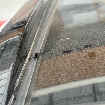 Sunroof Fitilindeki Kendiliğinden Yırtılma Garanti Kapsamında Değişim Talebi