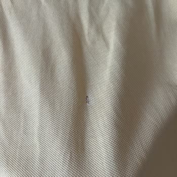 I Used Vanish Oxi Action to Remove a Stain and It Ruined My T-Shirt