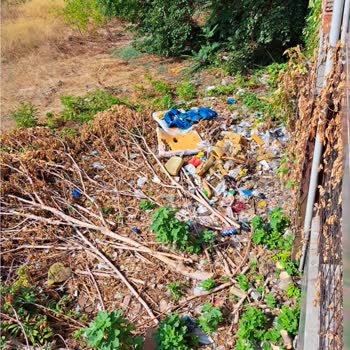 Bursa Osmangazi’de Arka Arsada Çöp Atma Ve Fare İstilası Yetkilerin İhmali