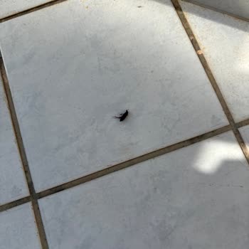 Temizlik Ve Hijyen Eksikliği Nedeniyle Otelde Ücret İadesi Talebi