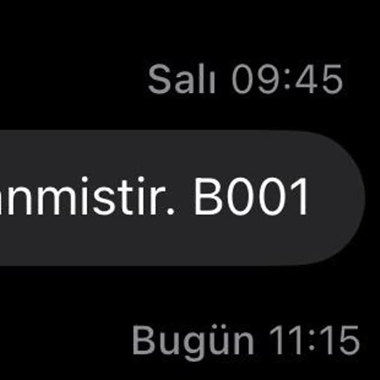 Altyapı Eksikliği Nedeniyle Sabit Ev İnterneti Keşif Durumu Bilgi Eksikliği