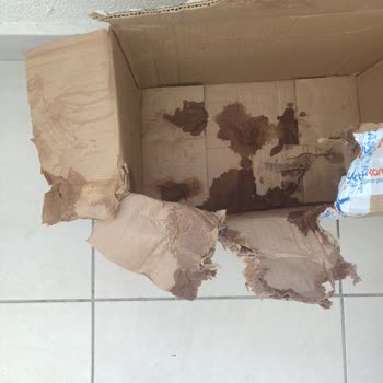 Patlak Ürünler, Fatura Yok Ve Kargo Ücreti İadesi