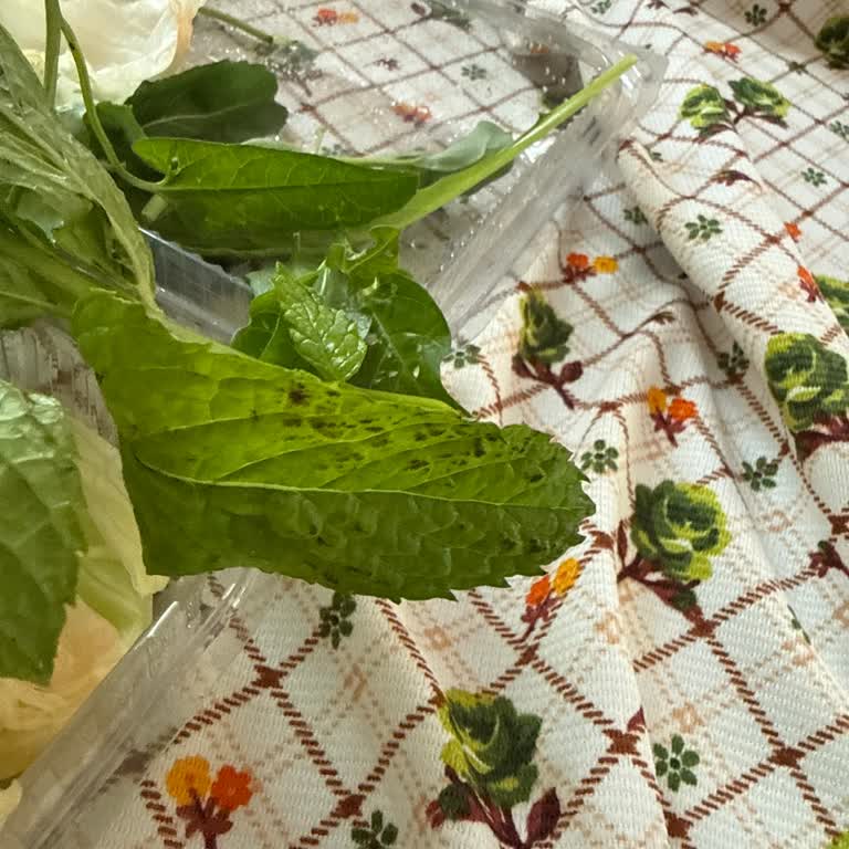 Komagene Hisar Şubesinde Çiğ Köfte Paketi Yeşilliklerinde Çürüme Ve Hijyen Endişesi